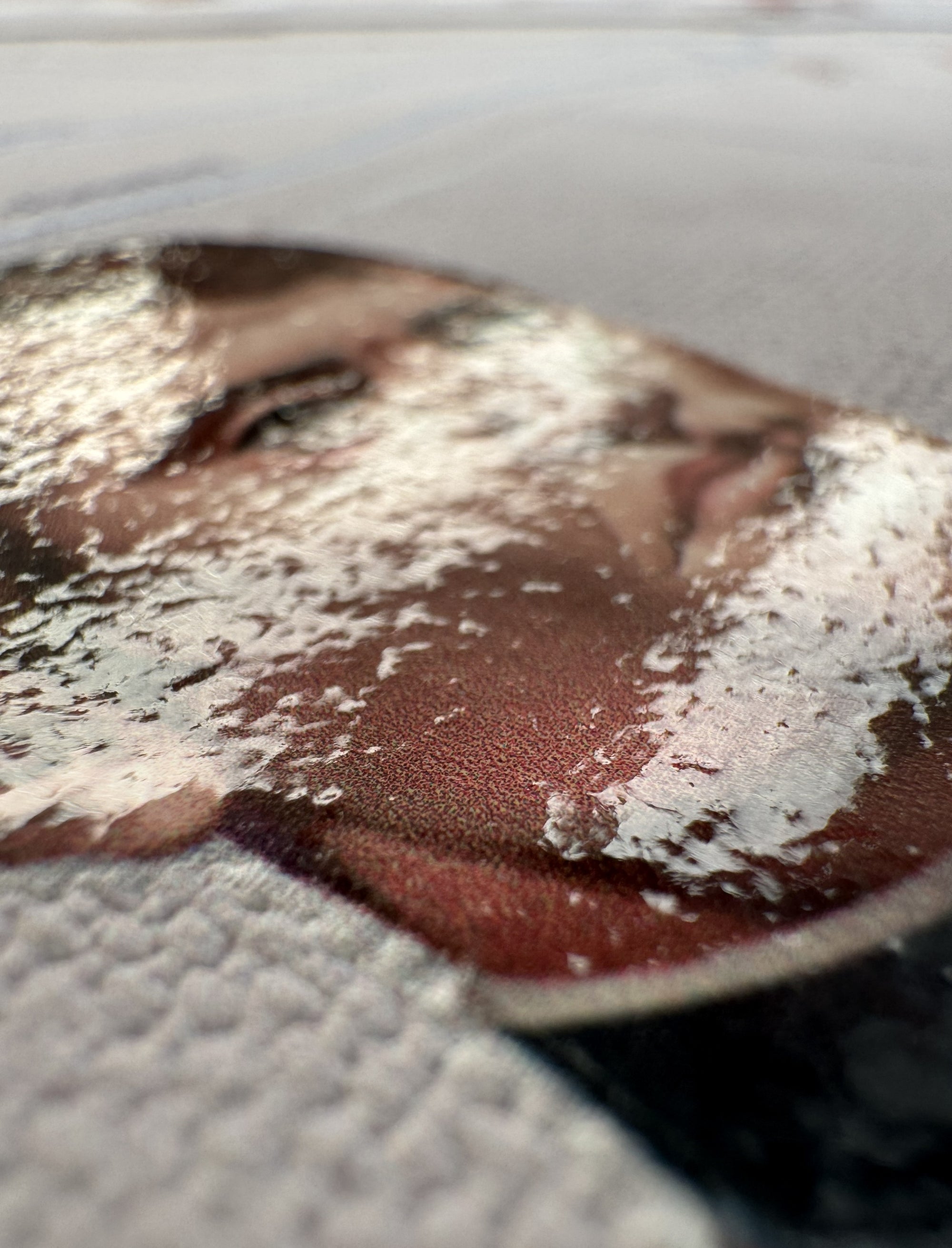 Milan during the Risorgimento