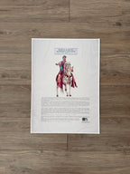 Marco Aurelio l'imperatore filosofo